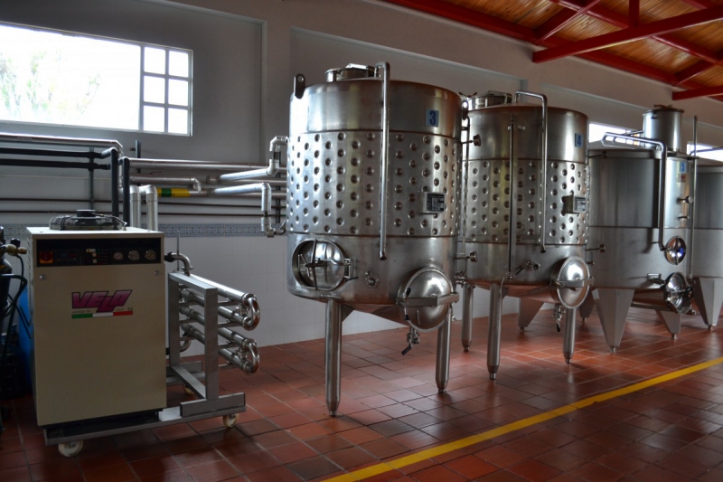 cave-PUGET VILLE-min_wine_production_cantine_winery_drink_alcohol_vine_beverage-902036